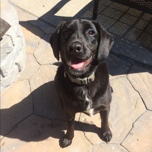 Meet your Posher, Amelia